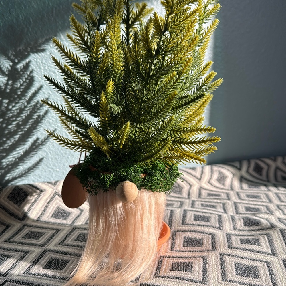 Norfolk Island Pine Mountain 🏔️ Man